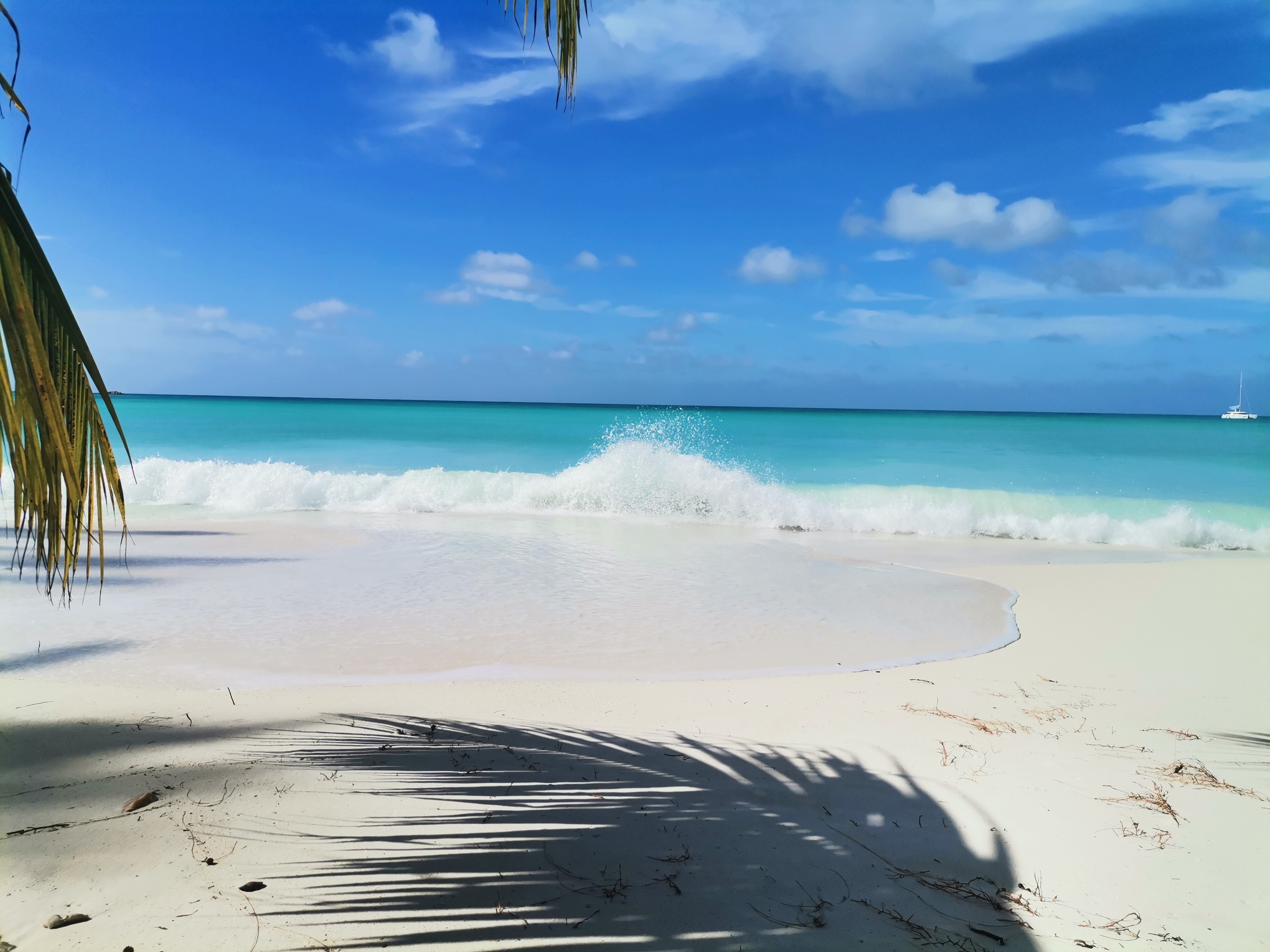 Cote D'Or near the swing