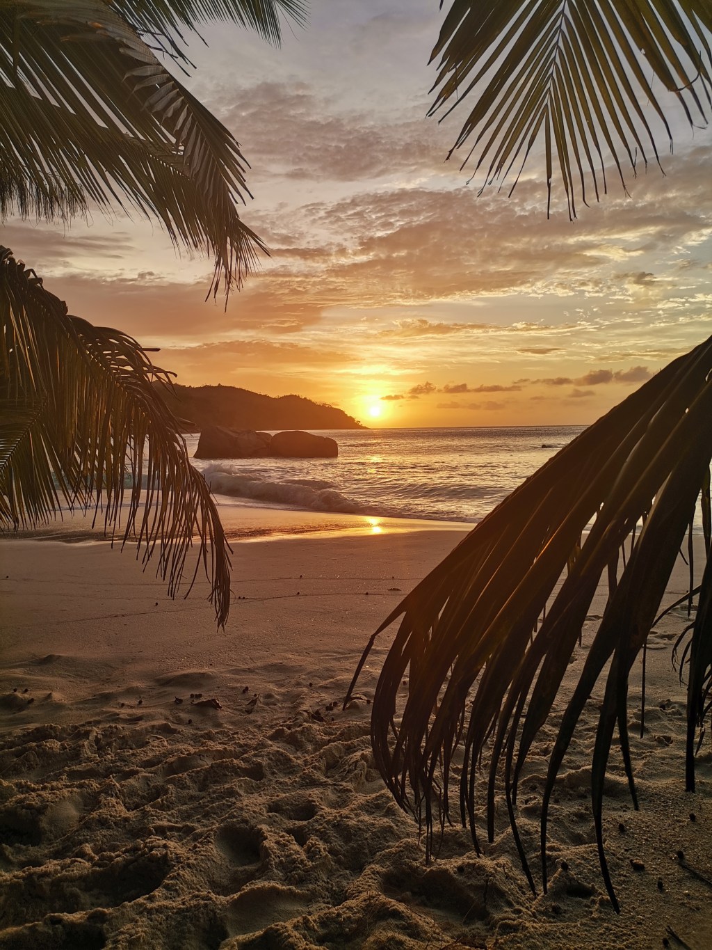 sunset Anse Lazio beach palm frond border